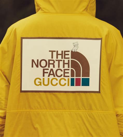 gucci x north face wallpaper|north face x gucci outlet.